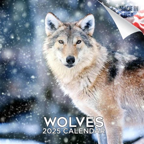 200% Wolf 2025 To𝚛rent